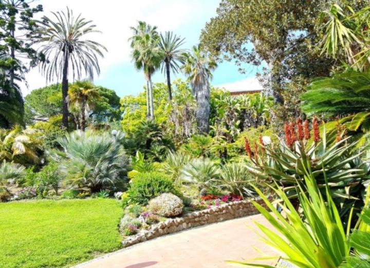 Casa Vacanza Rossella San Remo Exterior foto